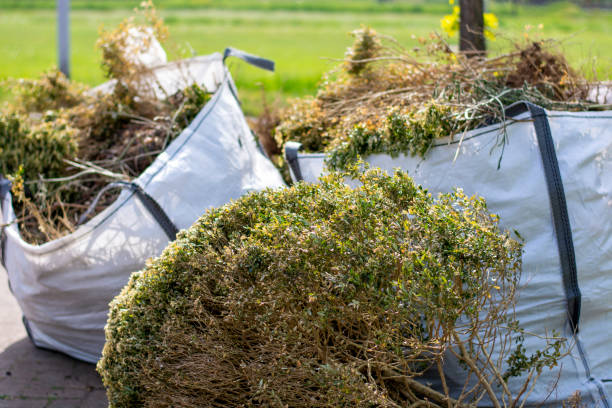 Best Recycling Services for Junk  in Mapleton, MN