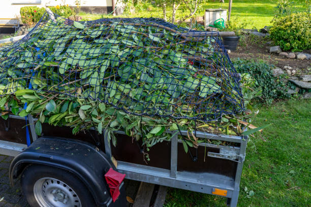 Best Retail Junk Removal  in Mapleton, MN